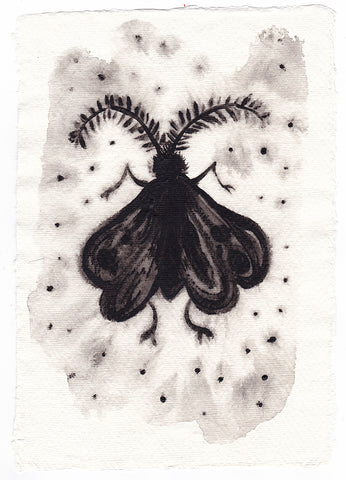 Moth Stardust - watercolour painting - Silvena Toncheva