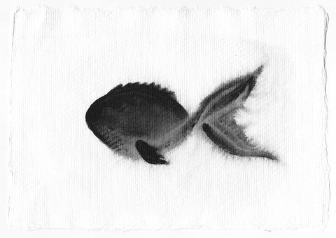 Shadow Fish - watercolour painting - Silvena Toncheva