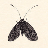 Original Moth Doodle Drawing - Silvena Toncheva Naive Art